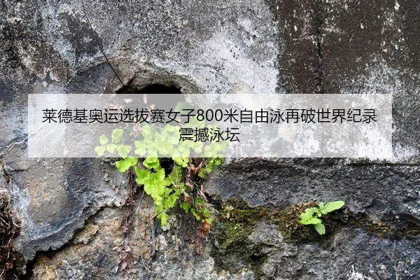 莱德基奥运选拔赛女子800米自由泳再破世界纪录震撼泳坛