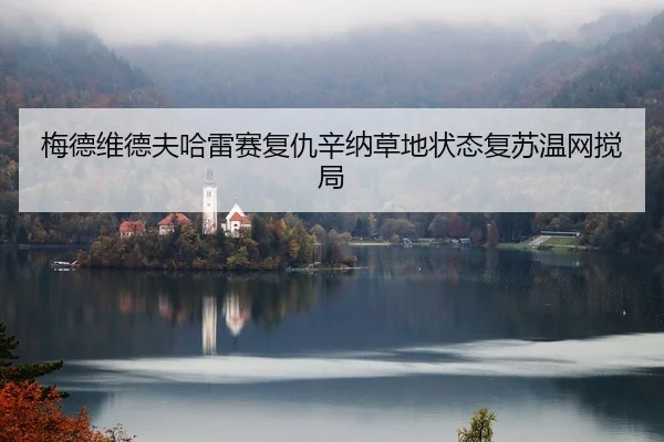 mei-de-wei-de-fu-ha-lei-sai-fu-chou-xin-na-cao-di-zhuang-tai-fu-su-wen-wang-jiao-ju-2-176.jpg